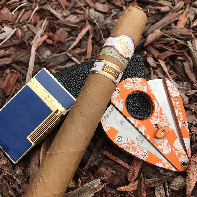 kit cigare pour des séances de dégustations